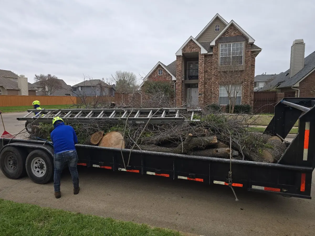 Expert Tree Fertilization with proper safety equipment in Seneca Falls